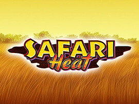 logo Safari Heat
